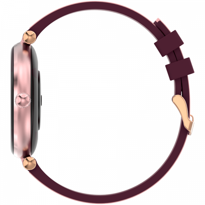 CANYON Semifreddo SW-61, Rtl8762dt, 1.19'' Amoled 390x390px, oncell TP, 192KB RAM, 3.7V 190mAh battery, Rosegold alumimum alloy case middle frame + plastic bottom case+pink and purple silicone strap + [4]