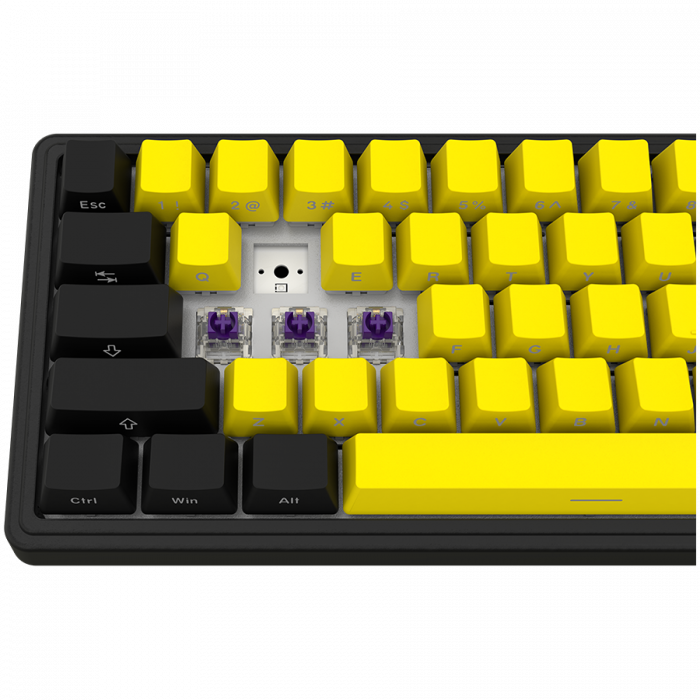 LORGAR KBP70MW, Wireless 65% Mechanical Gaming Keyboard Pro, Black/yellow, EN layout [8]