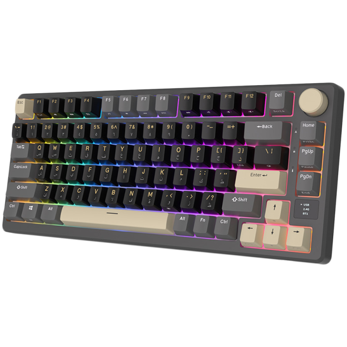 ROYAL KLUDGE RK-M75 Phantom Gaming Keyboard K Silver switch [2]