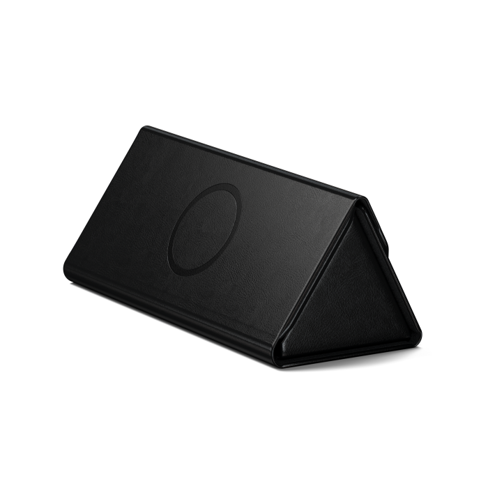 Satechi Vegan-Leather FindAll Glasses Case - Black [1]