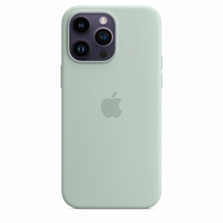 Apple iPhone 14 Pro Max Silicone Case with MagSafe - Succulent (SEASONAL 2022 Fall) [0]