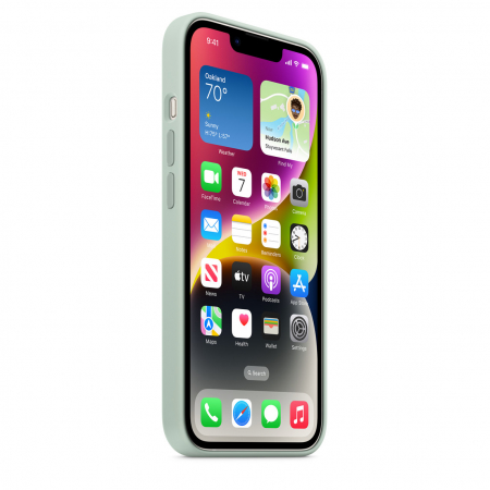 Apple iPhone 14 Silicone Case with MagSafe - Succulent (SEASONAL 2022 Fall) [1]