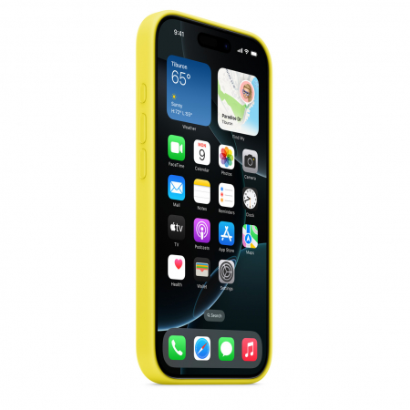 Apple iPhone 16 Pro Silicone Case with MagSafe - Star Fruit (Seasonal) [3]