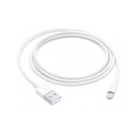 Telefoane & accesorii - Apple Lightning to USB Cable (1 m)
