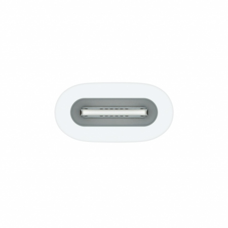 Apple USB-C to Apple Pencil Adapter [1]