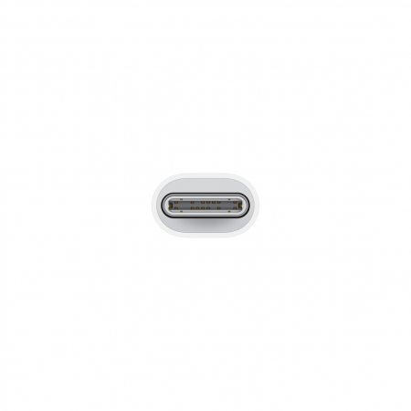 Apple USB-C to Lightning Adapter [1]