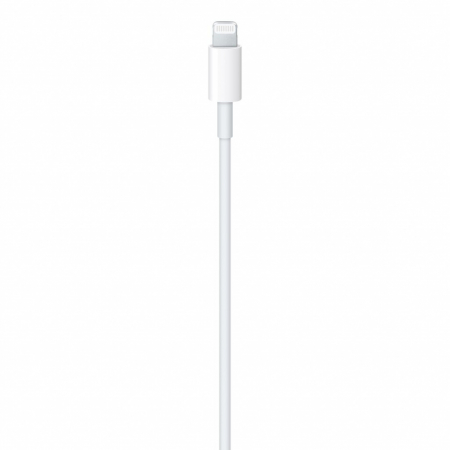 Apple USB-C to Lightning Cable (1 m) [2]