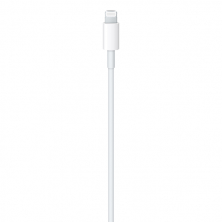 Apple USB-C to Lightning Cable (1m) [1]