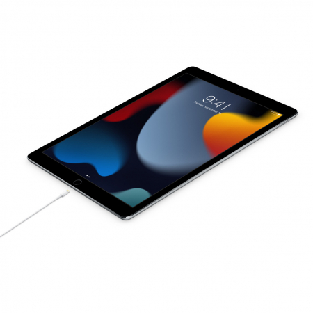 Apple USB-C to Lightning Cable (1m) [2]