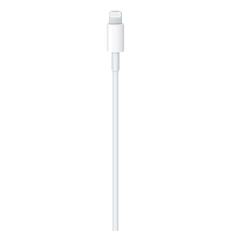 Apple USB-C to Lightning Cable (2 m) [3]