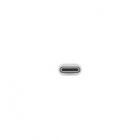 Apple USB-C to USB Adapter [1]