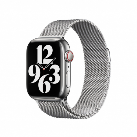 Apple Watch 41mm Band: Silver Milanese Loop [1]