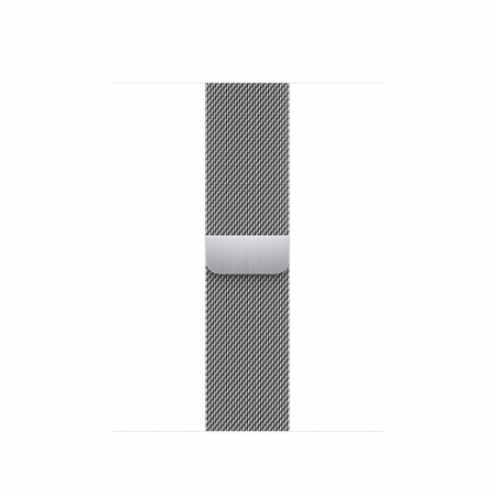 Apple Watch 41mm Band: Silver Milanese Loop [0]