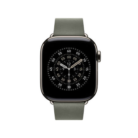 Apple Watch 42mm Modern Buckle: Sage Gray Modern Buckle - Large [1]