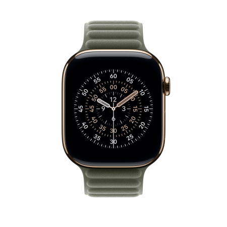 Apple Watch 46mm Magnetic Link: Sage Gray Magnetic Link - S/M [1]