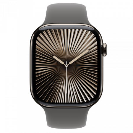 Apple Watch S10 Cellular 46mm Natural Titanium Case with Stone Grey Sport Band - M/L [2]