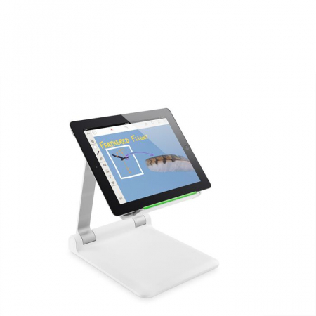 iPad accessories - Belkin Tablet Stand - White/Silver