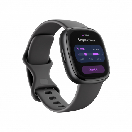 Fitbit Sense 2 Shadow Grey/Graphite Aluminum [3]