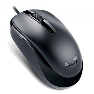 Sisteme PC & Periferice - MOUSE GENIUS "DX-120", Black, USB 