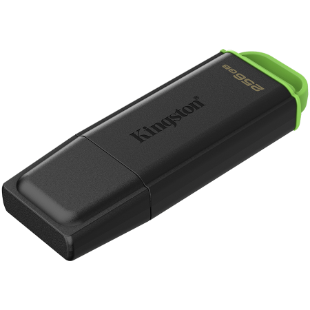 Sisteme PC & Periferice - KINGSTON 256GB Portable USB 3.2 Gen 1 DataTraveler Exodia Black/Green