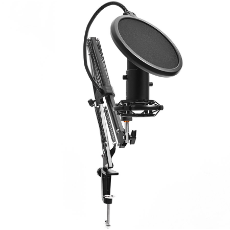 LORGAR Gaming Microphones, Black, USB condenser microphone with boom arm stand, pop filter, tripod stand. including 1* microphone, 1*Boom Arm Stand with C-clamp, 1*shock mount, 1*pop filter, 1*windscr [1]