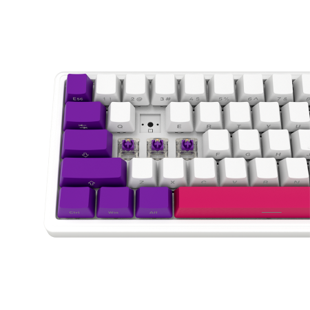 LORGAR KBP70MW, Wireless 65% Mechanical Gaming Keyboard Pro, White, EN layout [7]