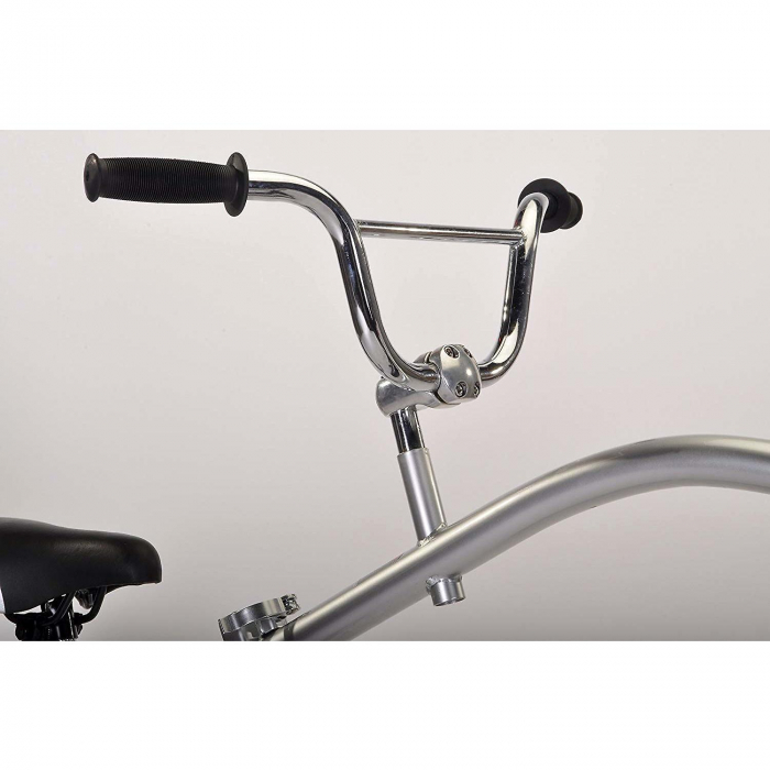 Bicicleta Co-Pilot Gri WeeRide WR06 [2]