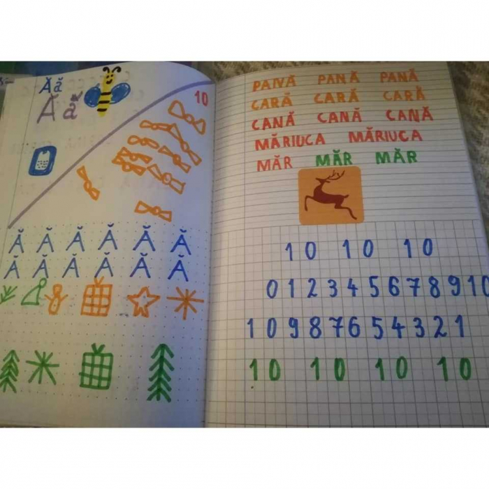 CAIET Grupa Mare NumLit CGM [3]