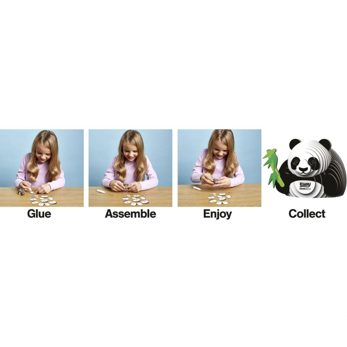 DIY Animale 3D Eugy Panda Brainstorm Toys D5003 [2]