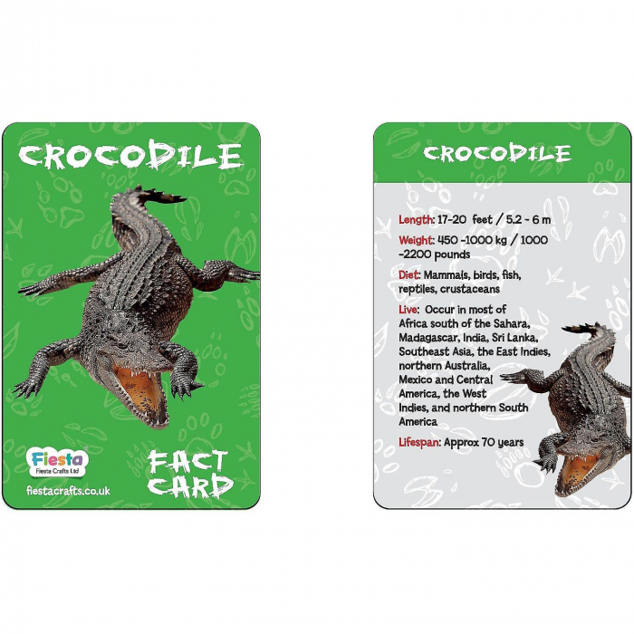 Kit constructie lemn si argila – Crocodil Fiesta Crafts FCT-3006 [2]