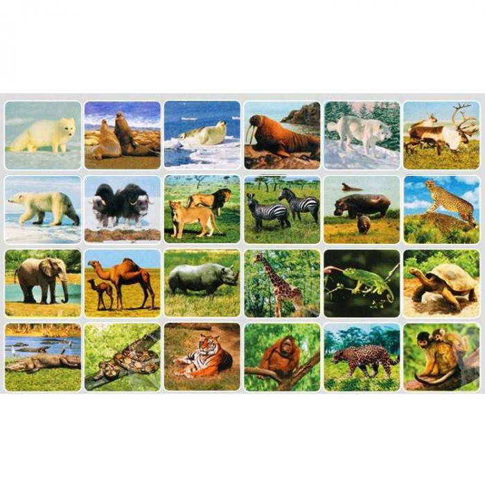 Lanterna proiector cu 3 diapozitive Animale Bambinice BN014 [2]