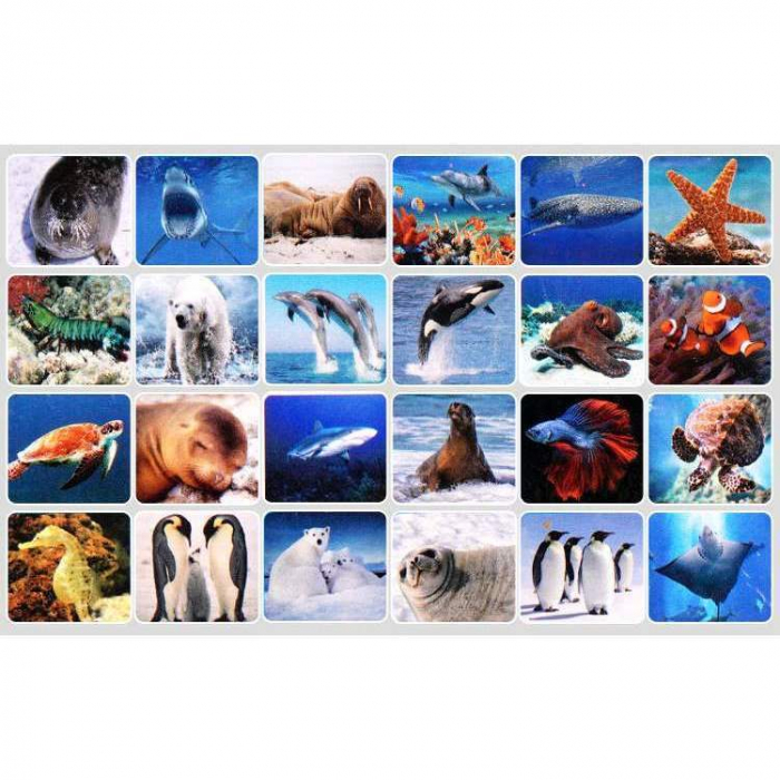 Lanterna proiector cu 3 diapozitive Animale Marine Bambinice BN019 [5]