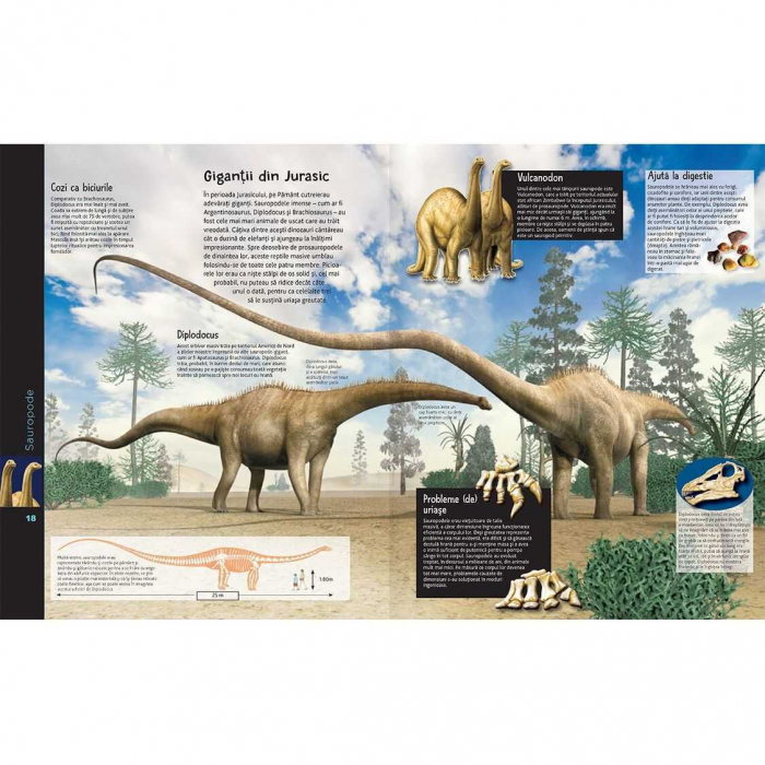 Lumea Dinozaurilor cu aplicatie gratuita Editura Kreativ EK4816 [2]