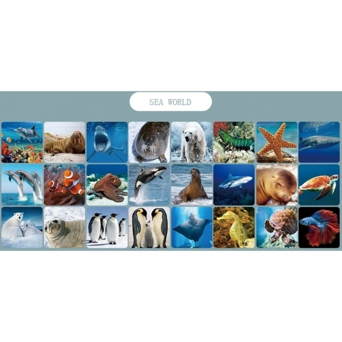 Proiector cu suport, 3 diapozitive Animale Marine Bambinice BN027 [2]