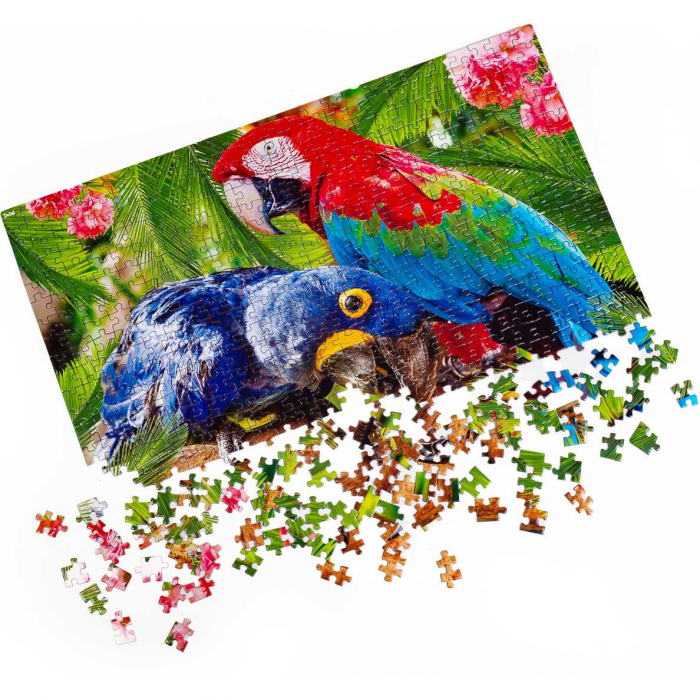 Puzzle Parrots, 32x47 cm, 500 piese De.tail DT500-01 [3]