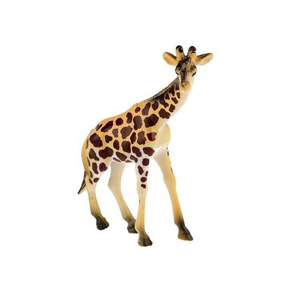 Set 5 figurine animale jungla Animal World Toi-Toys TT34921Z [5]