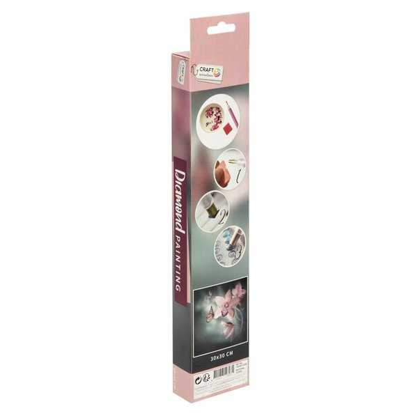 Set creativ cu diamante rotunde Diamond Painting 30x30 cm Grafix GRCR2009-22GE [3]