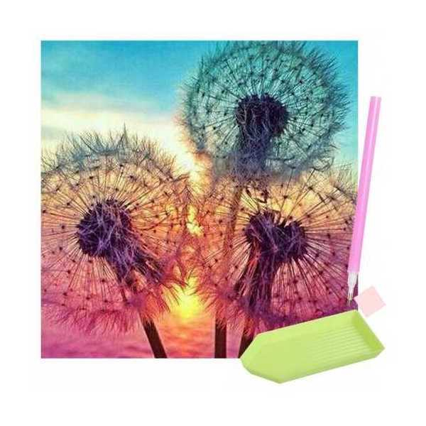 Set creativ cu diamante rotunde Diamond Painting 30x30 cm Papadie Iso Trade MY17811 [2]