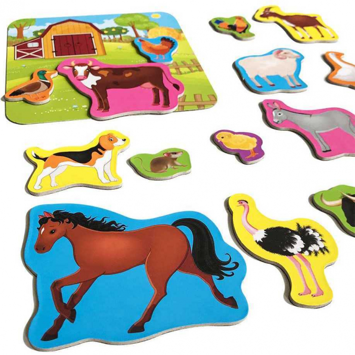 Set magnetic Animale de la Ferma cu Plansa magnetica inclusa, 21 piese Roter Kafer RK2090-01 [2]