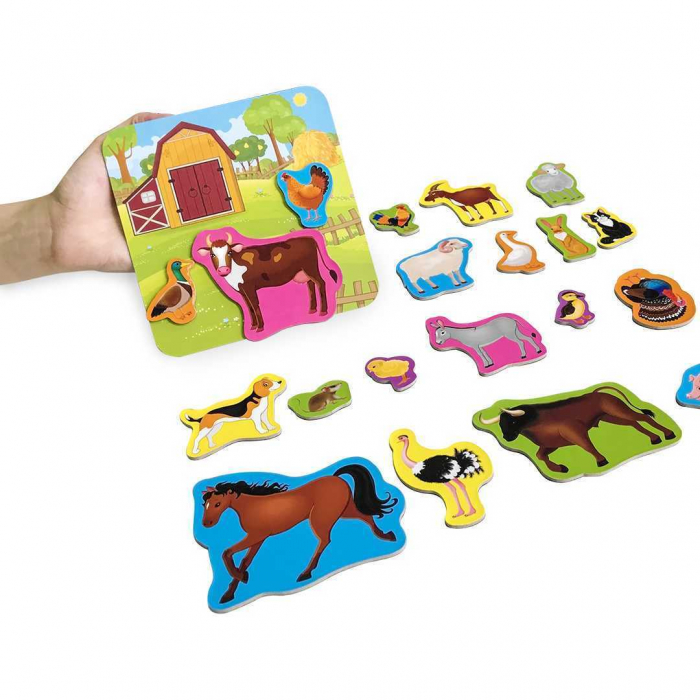 Set magnetic Animale de la Ferma cu Plansa magnetica inclusa, 21 piese Roter Kafer RK2090-01 [5]