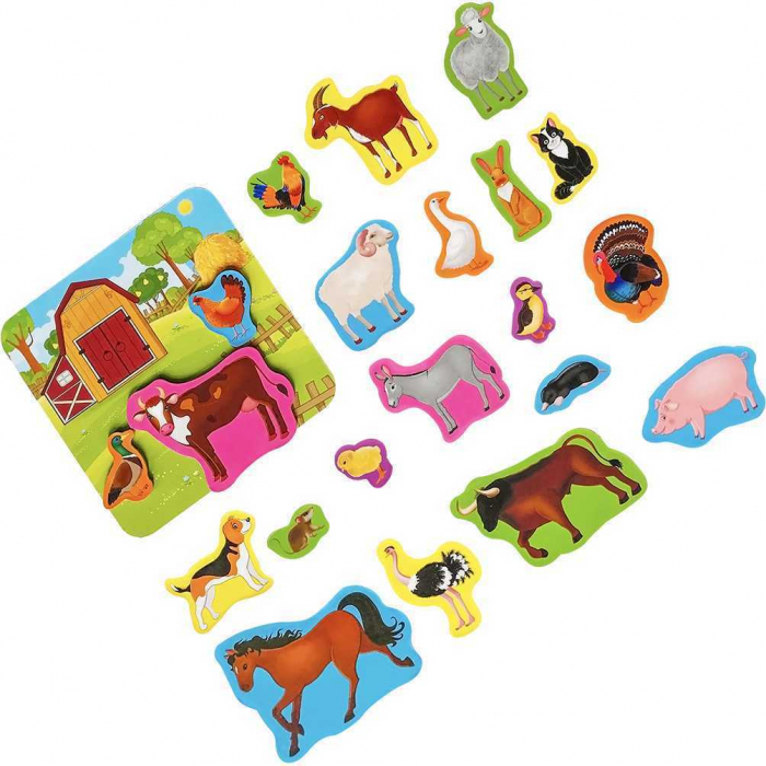 Set magnetic Animale de la Ferma cu Plansa magnetica inclusa, 21 piese Roter Kafer RK2090-01 [3]