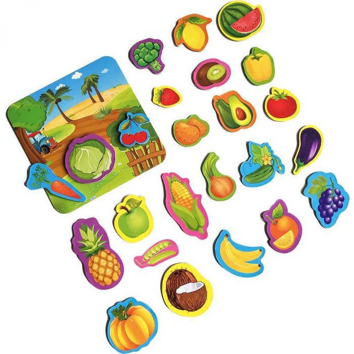 Set magnetic Fructe si Legume cu Plansa magnetica inclusa, 24 piese Roter Kafer RK2090-06 [3]