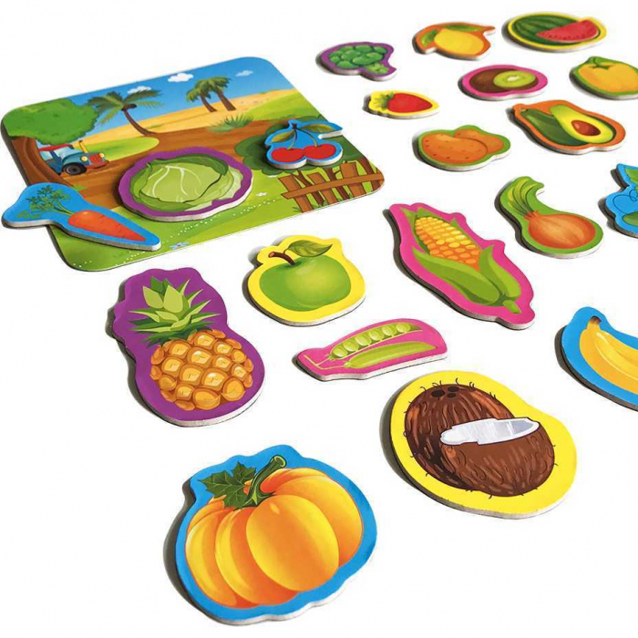 Set magnetic Fructe si Legume cu Plansa magnetica inclusa, 24 piese Roter Kafer RK2090-06 [2]