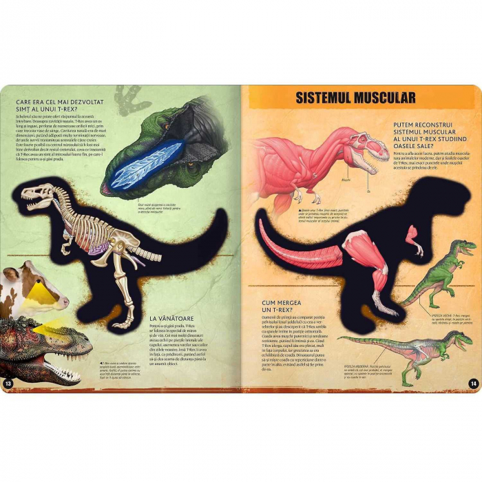 T-REX – model 3D Editura Kreativ EK6537 [3]