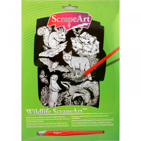 Seturi pictura si desen - Gravura predesenata Wildlife Keycraft KCAC157
