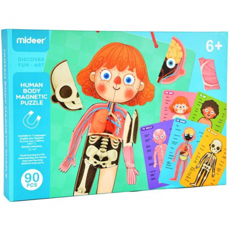 SCOALA SI GRADINITA - Joc educativ magnetic Corpul uman 90 piese Mideer CT7013