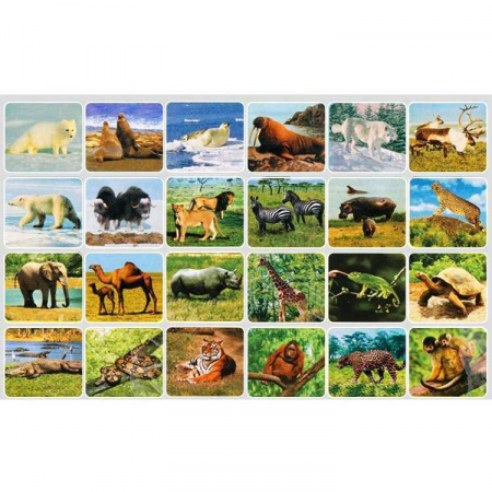 Lanterna proiector cu 3 diapozitive Animale Bambinice BN014 [1]