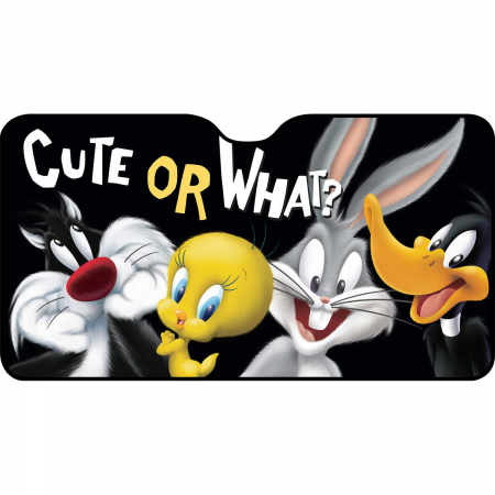 ACTIVITATI IN AER LIBER - Parasolar pentru parbriz Looney Tunes 130x70 cm TataWay CZ10973
