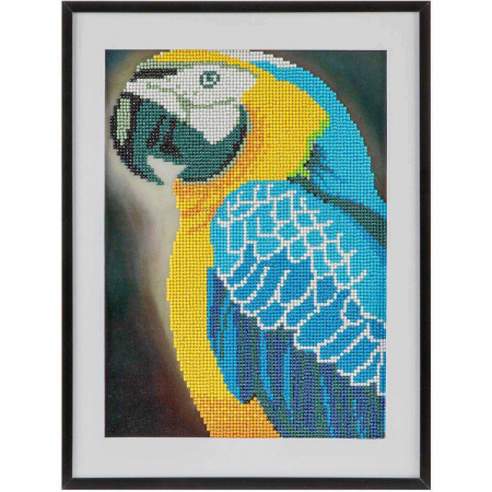 Seturi creative - Set creativ cu diamante rotunde Diamond Painting 30x40 cm Papagal Grafix GRCR1044-GE