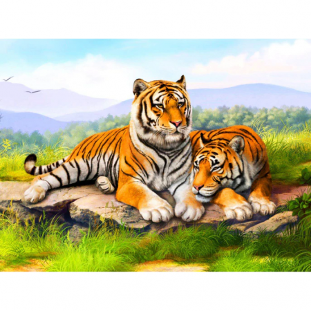 Seturi creative - Set creativ cu diamante rotunde Diamond Painting 40x50 cm Toi-Toys TT46684Z